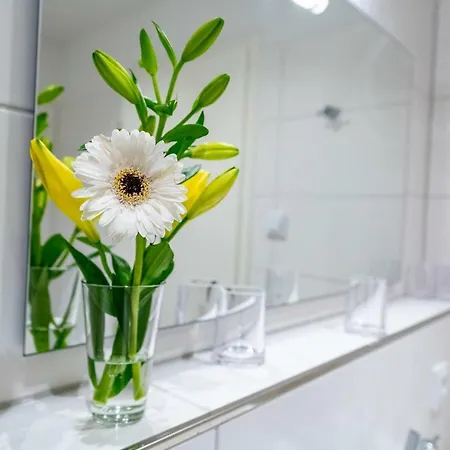 Appartement Sturmrobbe *